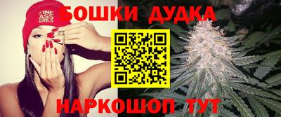 PSILOCYBIN Пенза