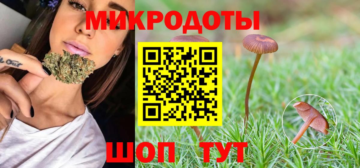 Псилоцибиновые грибы прущие грибы  Вход с VPN  Отрадный 