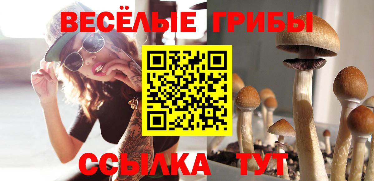 Псилоцибиновые грибы Cubensis Отрадный