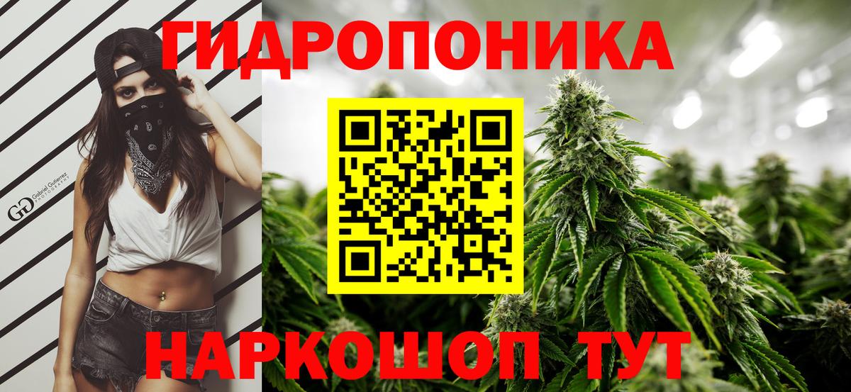 Бошки Шишки сатива  Каннабис LSD WEED  Отрадный  Вход с VPN  Бошки Шишки Bruce Banner  Бошки марихуана AK-47 